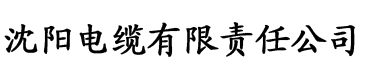 美妻姿吟电缆厂logo